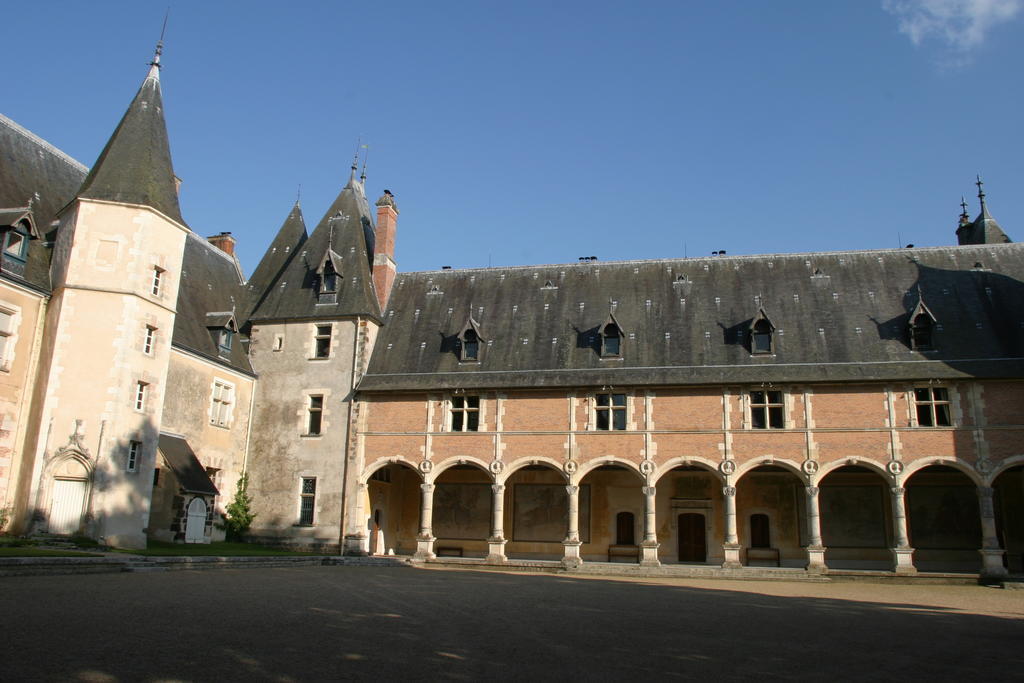 Chateau De La Verrerie Otel Aubigny-sur-Nère Dış mekan fotoğraf