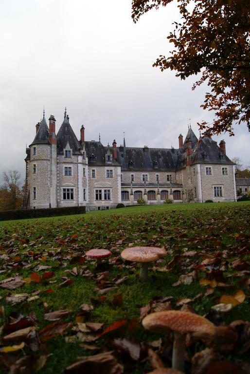 Chateau De La Verrerie Otel Aubigny-sur-Nère Dış mekan fotoğraf